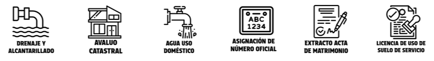Icono 2
