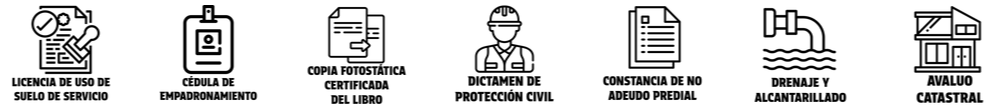 Icono 3